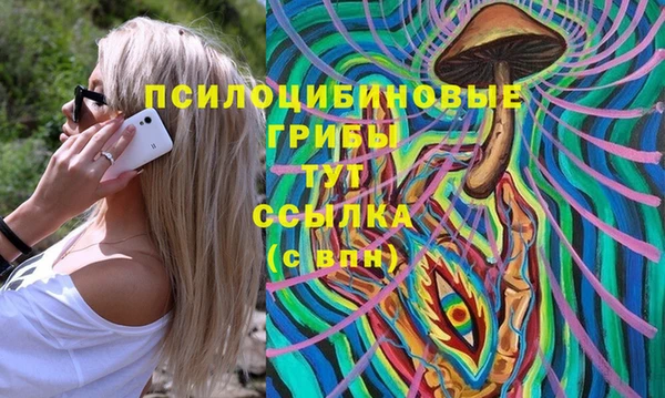 синтетический гашиш Алексеевка