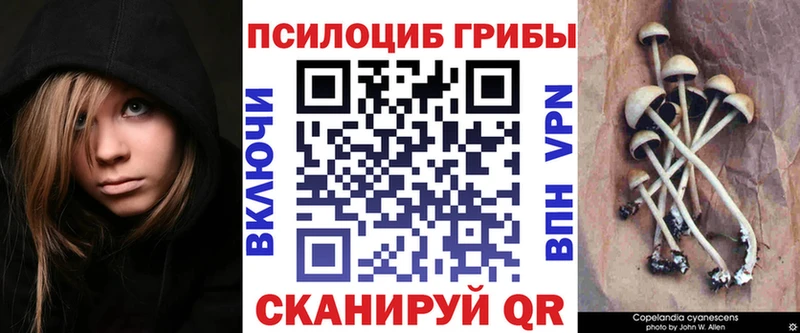 shop состав  наркота  Островной  Галлюциногенные грибы Magic Shrooms  ОМГ ОМГ ссылки 
